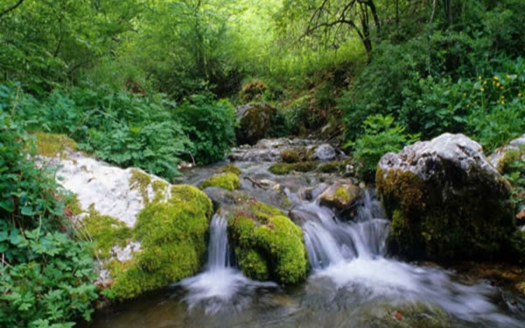 Il Parco Nazionale d’Abruzzo